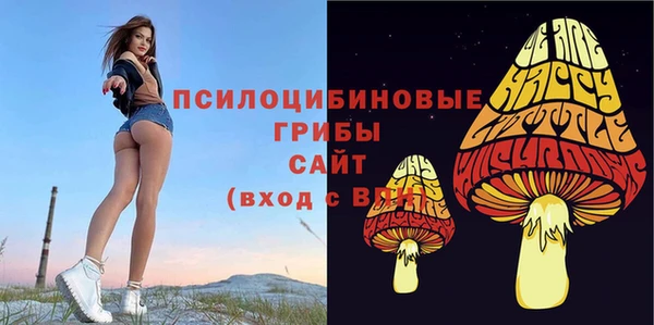 стафф Алзамай