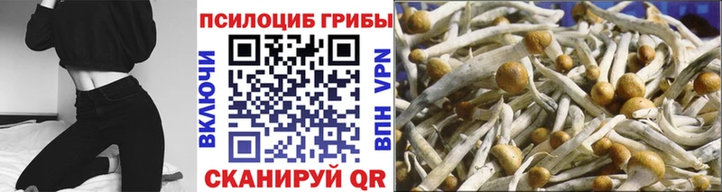 Галлюциногенные грибы Magic Shrooms  Данков 